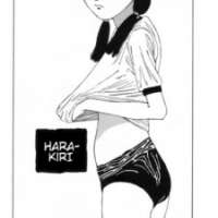   Hara Kiri <small>Story & Art</small> 